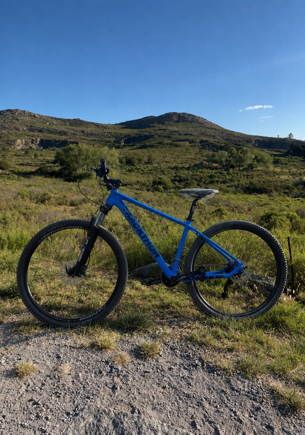 Bicicleta Colner Trackthor rodado 29 — ST Bikes Tandil